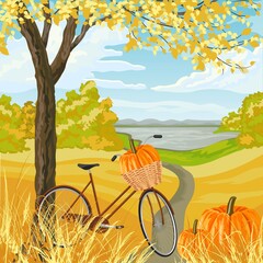 Autumn landscape with with bicycle and pumpkins