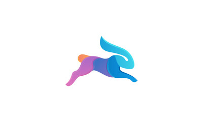 Creative Vector Illustration Logo Design Colorful Rabbit Animal