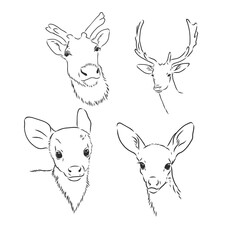 One line design silhouette of deer.hand drawn minimalism style.vector illustration, deer, vector sketch illustration