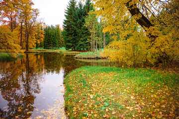 Autumn forest lake water landscape.