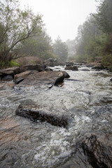 River running through a misty forest 7