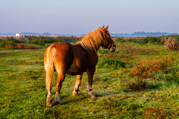 Przystań Waniewo. Narwiański Park Narodowy. Polska Amazonia, Podlasie