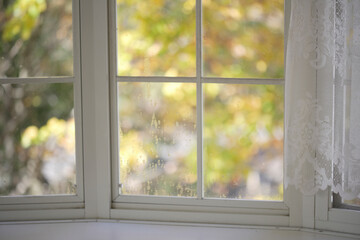 白い窓辺から見える秋