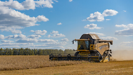 Obraz premium combine on the field 2