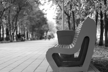 bench in the park