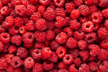 Raspberry background. Close-up. Top view