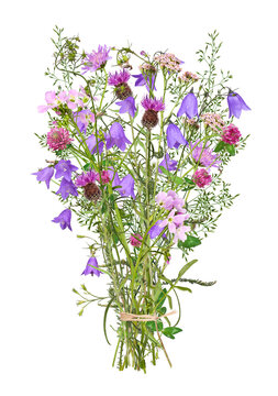 Bouquet with various wildflowers, isolated