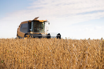 Fototapeta premium Harvesting combine in the wheat.