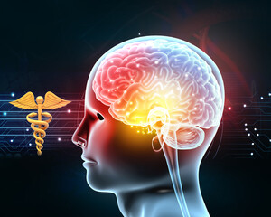 Obraz premium Human head anatomyanatomy on medical background. 3d illustration
