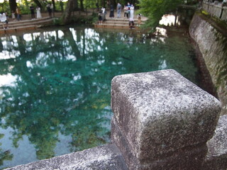 山口県　別府弁天池