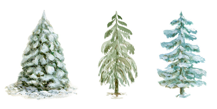 Christmas tree watercolor illustration isolated on white background, hand drawn winter spruce set for New Year holiday decor or celebration card.