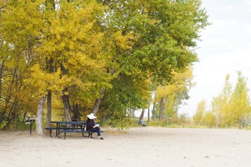 Woman reading at the beach, surrounded by colorful foliage. Bear Lake, Utah.