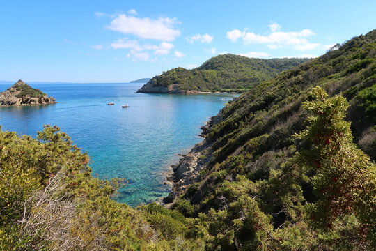 &Icirc;le de Port-Cros, au large de la ville d&rsquo;Hy&egrave;res, panorama sur la c&ocirc;te escarp&eacute;e au bord de la mer M&eacute;diterran&eacute;e (France)