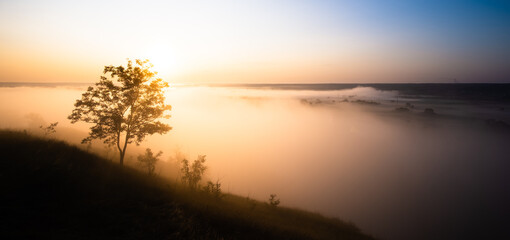 Fototapeta na wymiar Darkened tree on hill above misty valley in morning