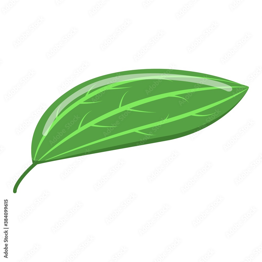 Poster cinnamon leaf icon. isometric of cinnamon leaf vector icon for web design isolated on white backgrou