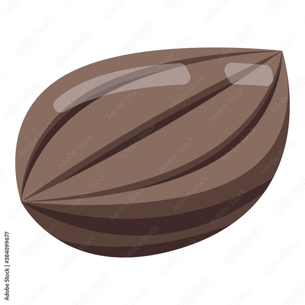 Poster cinnamon seed icon. isometric of cinnamon seed vector icon for web design isolated on white backgrou