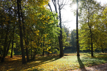autumn landscape in a park in the suburb of St. Petersburg Pushkin, Russia