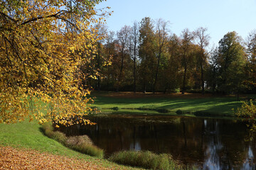 autumn landscape in a park in the suburb of St. Petersburg Pushkin, Russia