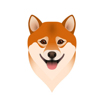 Isolated colorful head and face of happy shiba inu on white background. Color flat cartoon breed dog portrait.