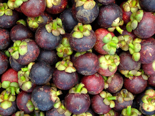 Exotic mangosteen fruits on a shop.