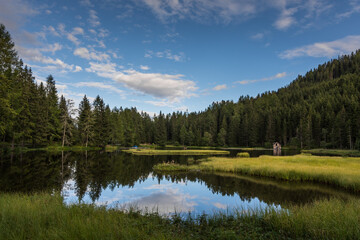 beautiful landscape with a mountain lake and a forest