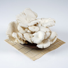 Fototapeta na wymiar Oyster mushrooms that have been harvested are fresh white and ready for consumption, photographed as attractive as possible against a white background.