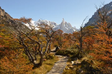 Wallpaper murals Fitz Roy Sunset over El Chalten and hiking at Fitz Roy in Patagonia, Argentina
