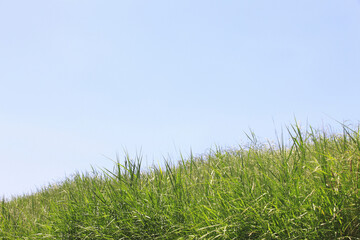 草原と空
