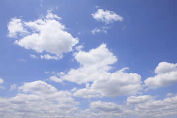 Obraz premium 青空