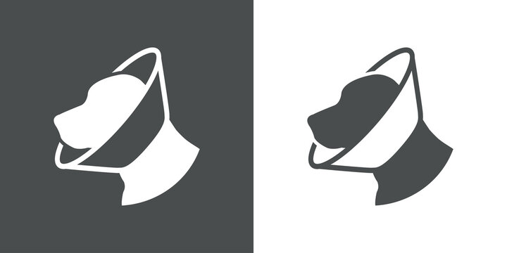 Logotipo cabeza de perro con collar isabelino en fondo gris y fondo blanco