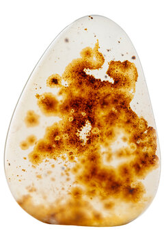 Macro mineral stone Moss Agate, Agate muschiataan white
