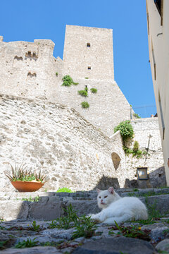 Castello Medievale di Itri alta con gatto