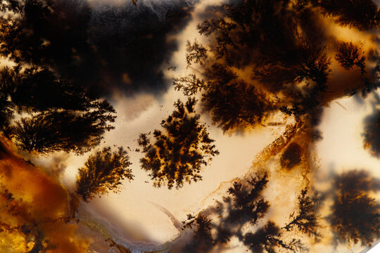 Macro mineral stone Moss Agate, Agate muschiataan white