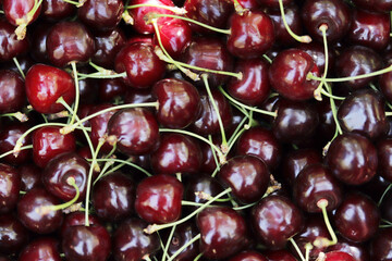  Fresh ripe cherries. Food background.