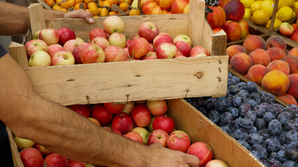 Close-up of grocery worker is puts the apples in wooden box from store shelves. Salesman is working in fruit and vegetable department of supermarket