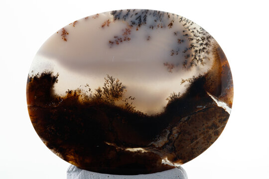 Macro mineral stone Moss Agate, Agate muschiataan white