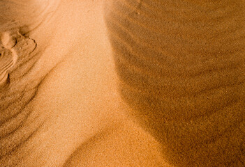 Beautiful texture of desert sand dunes in Oleshky Sands, Kherson region, Ukraine. The largest desert in Europe