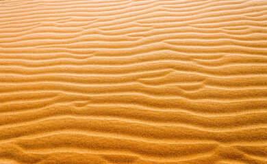 Patterns in the biggest Desert in Europe. Beautiful texture of desert sand dunes in Oleshky Sands, Kherson region, Ukraine.