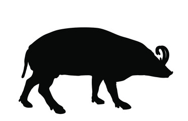 Babirusa vector silhouette illustration isolated on white background. Deer pig animal.