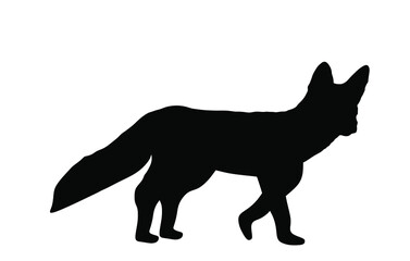 Fox vector silhouette illustration isolated on white background. Smart animal predator.