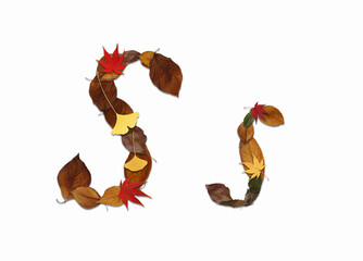 枯葉の文字、白バック