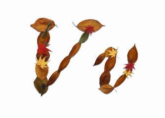 枯葉の文字、白バック