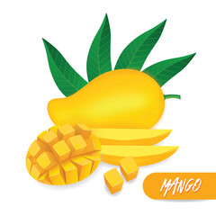Mango fresh fruit graphic vector illustration.