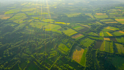 Fototapeta premium Aerial view of over green landscape at early misty morning