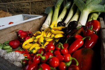 brightly coloured market vegetables