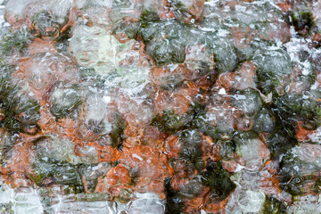 Frozen water close up. Ice waterfall. Transparent ice. Frozen grass, moss and granite stones. Textural ice formations.