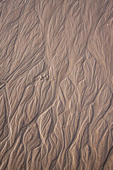 sand surface for background