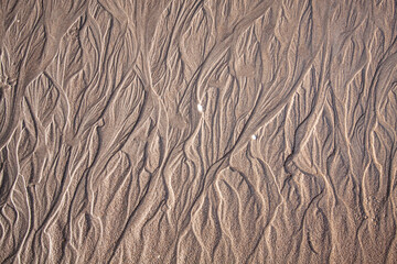 sand surface for background