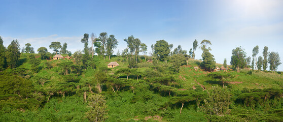 Panoramic view of an African village with clay houses in Tanzania.