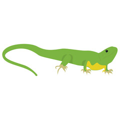 
A flat icon design of a lizard 
